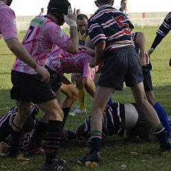 porc2008_192