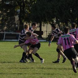 porc2008_193