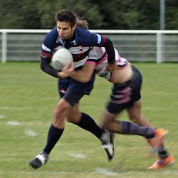 porc_2011_001
