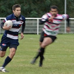 porc_2011_003