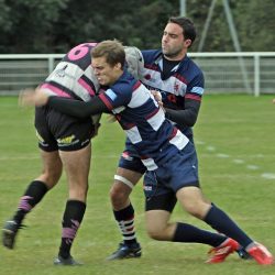 porc_2011_004