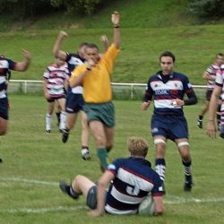 porc_2011_006