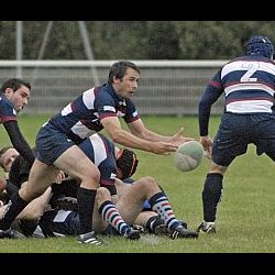 porc_2011_013