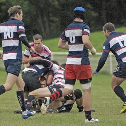 porc_2011_014