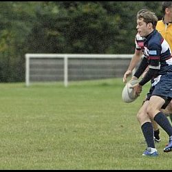 porc_2011_015