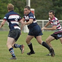 porc_2011_016