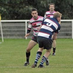 porc_2011_018