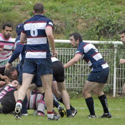 porc_2011_025