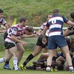 porc_2011_026