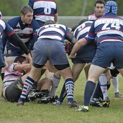 porc_2011_030