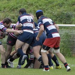 porc_2011_035