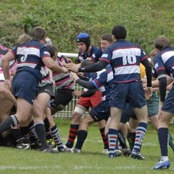 porc_2011_036