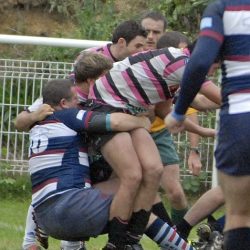 porc_2011_037