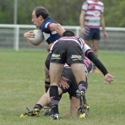porc_2011_039