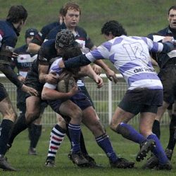 puc_2011_011